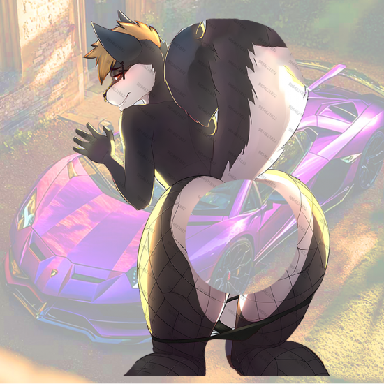 Furry with Lambo Sticker, suitable for smooth surfaces like glass, mirrors, windows, and tiles. Vinyl car decals suitable for cars, motorcycles, laptops, computers, backpacks, water bottles, and more.