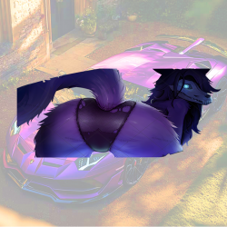 Purple Furry Wolf Car Decal Sticker, vibrant colors perfect for art projects, collages, and crafts. Vinyl car decals suitable for cars, motorcycles, laptops, computers, backpacks, water bottles, and more.