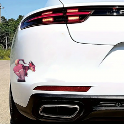 Pink Dragon Girl Sticker, make your belongings stand out with this unique vinyl sticker. Vinyl car decals suitable for cars, motorcycles, laptops, computers, backpacks, water bottles, and more.