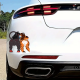 Furry Couple Sticker, water-resistant sticker suitable for mugs, cups, and tumblers. Vinyl car decals suitable for cars, motorcycles, laptops, computers, backpacks, water bottles, and more.