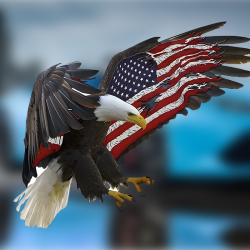 American Flag Eagle Sticker, adheres well to plastic, metal, wood, glass, and ceramic surfaces. Vinyl car decals suitable for cars, motorcycles, laptops, computers, backpacks, water bottles, and more.